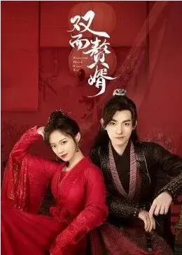 《双面赘婿》：穿越时空的爱恋，看现代打工人如何玩转古代商战与爱情！