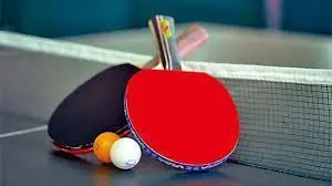 巴黎奥运会乒乓男团1/8决赛：法国横扫斯洛文尼亚，青春风暴席卷赛场！